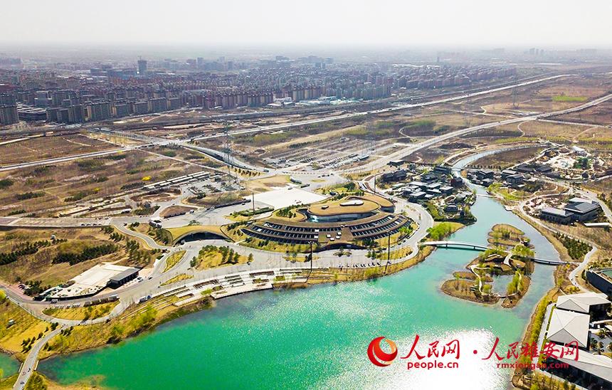 航拍雄安郊野公園。人民網(wǎng)宋燁文攝
