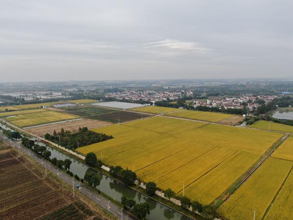 雙游村。受訪者供圖