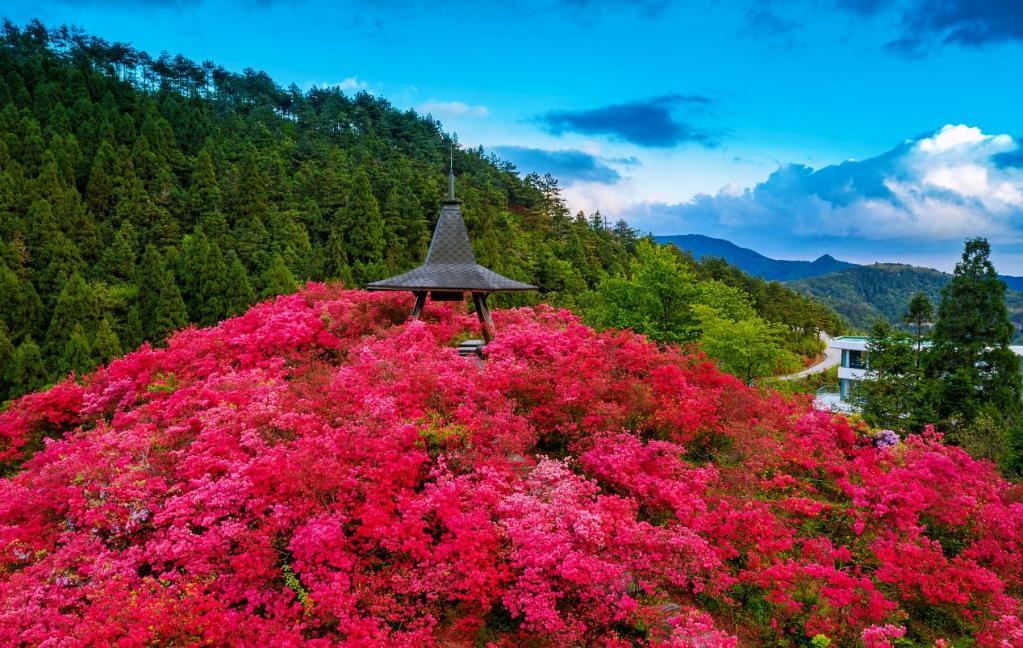 9747793dcdd77fabc30955c7cf214648_1310714390_16825593294661n.jpg 9747793dcdd77fabc30955c7cf214648_1310714390_16825593294661n.jpg