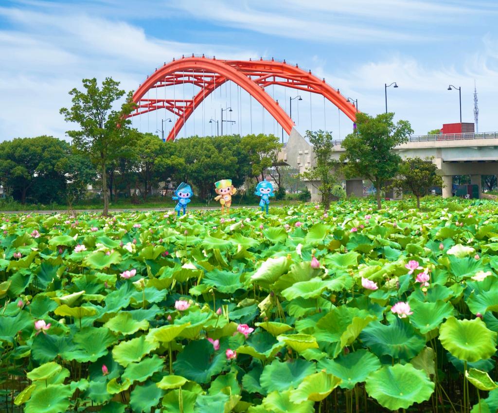 641e43223b9cfe4abc3ff00caabf914d_1129702481_16870008960321n.jpg 641e43223b9cfe4abc3ff00caabf914d_1129702481_16870008960321n.jpg