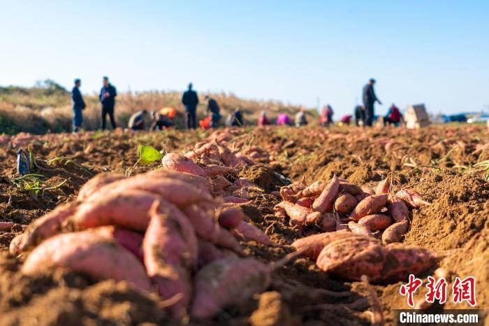 35c2c92db81f26f302979fe3d8bc08d2_54fc023d-2f34-40c4-977b-856af16e3e94_zsite.jpg 35c2c92db81f26f302979fe3d8bc08d2_54fc023d-2f34-40c4-977b-856af16e3e94_zsite.jpg