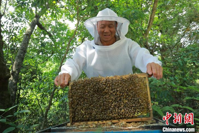 4bfba775b90b6caffde9059168a4ea36_e00ee3c6-b537-47da-86ae-041e82f3e78e_zsite.jpg 4bfba775b90b6caffde9059168a4ea36_e00ee3c6-b537-47da-86ae-041e82f3e78e_zsite.jpg