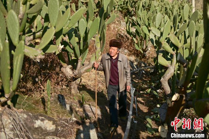 3d54ddcebbbd646982d543290e556ae4_b0391495-66be-416f-a8b1-32cb4ca9968f_zsite.jpg 3d54ddcebbbd646982d543290e556ae4_b0391495-66be-416f-a8b1-32cb4ca9968f_zsite.jpg