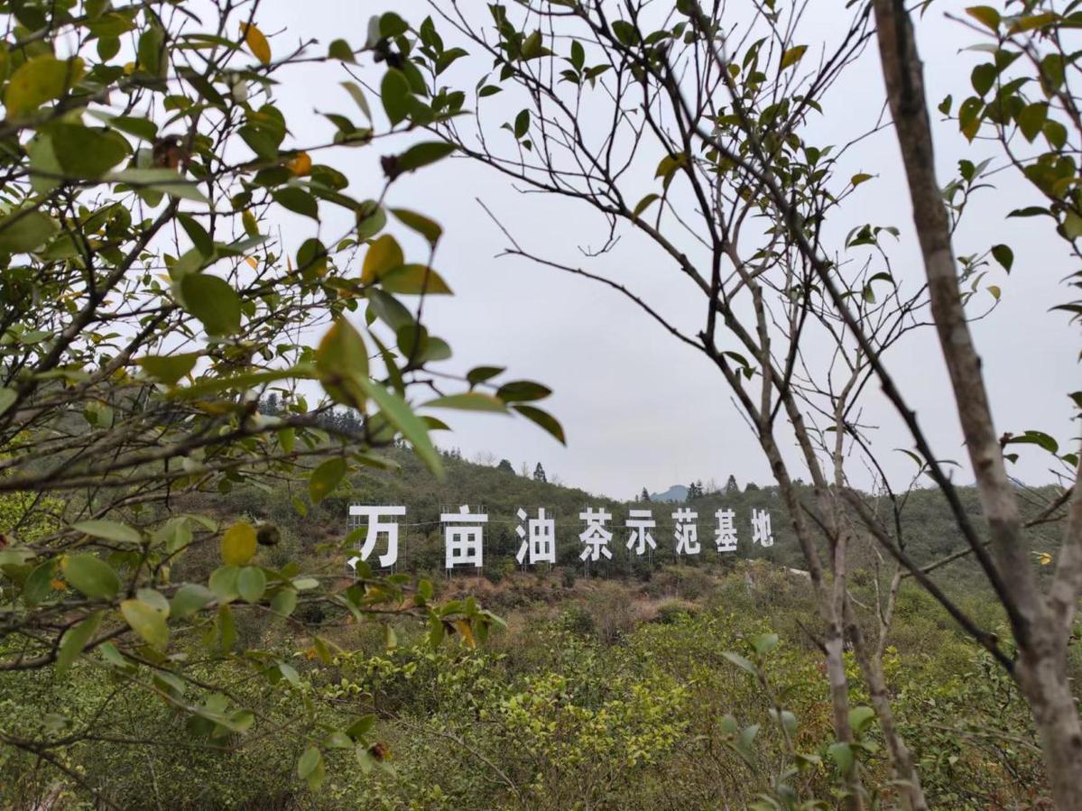 8cad336b0582959a639e37f3d2de0572_6602b678a3109f7844fcb311.jpeg 8cad336b0582959a639e37f3d2de0572_6602b678a3109f7844fcb311.jpeg