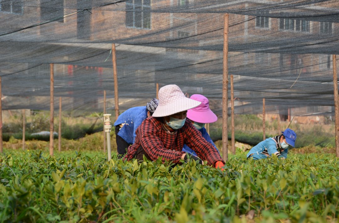 e1b3c1992287a00f2f60fe01bd3a763f_6602b678a3109f7844fcb313.jpeg e1b3c1992287a00f2f60fe01bd3a763f_6602b678a3109f7844fcb313.jpeg