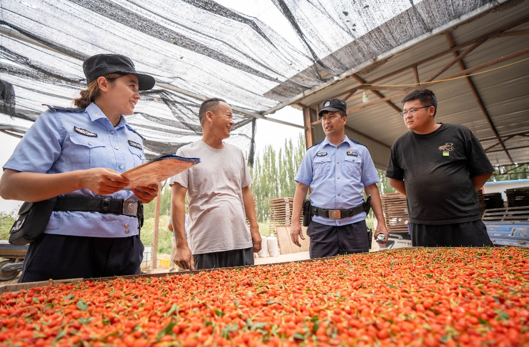 新疆葉城：護好“紅果果” 平安助振興